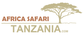 Raymond African Safaris